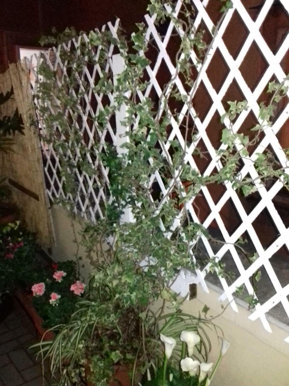 La Terrazza Di Dante Bed and Breakfast Νάπολη Εξωτερικό φωτογραφία